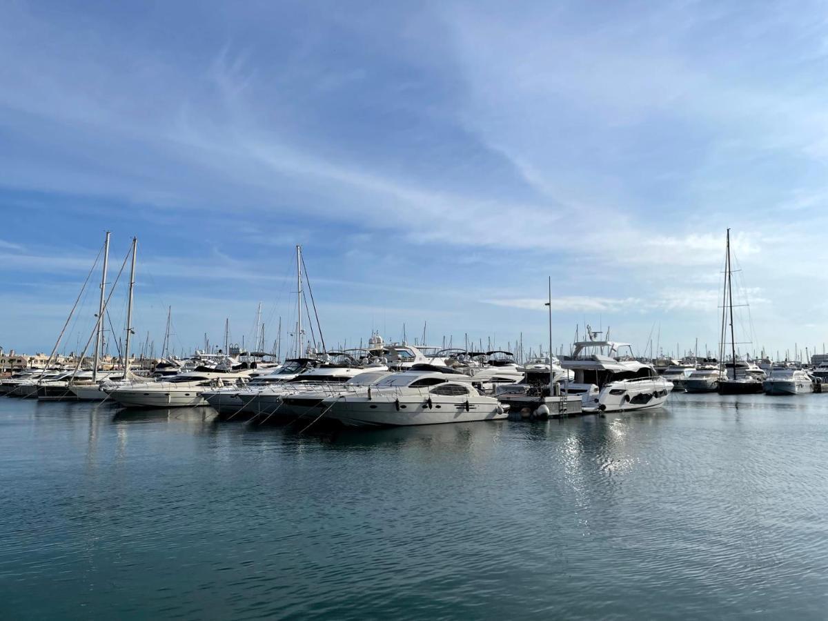 Haroldo Parres 17 Alicante Exterior foto